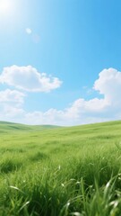 Fototapeta premium Vast Green Field Under a Clear Blue Sky