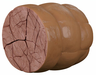 Close-up of Cracked, Dried Meat Log, Showing Texture and Detail