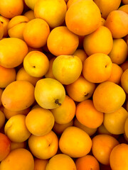 Ripe orange apricots close-up background or texture. 
