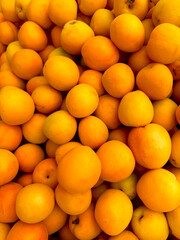 Ripe orange apricots close-up background or texture. 