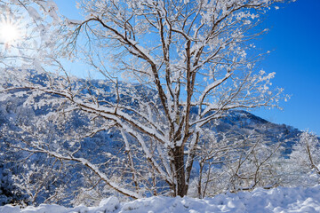 250320秋山郷の雪景色