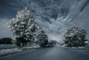 Fototapete Rund Flat design is showing paved country road flanked by grass verges and trees under cloudy sky © vectorfusionart