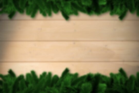 Fototapeta Blurred fir tree branches