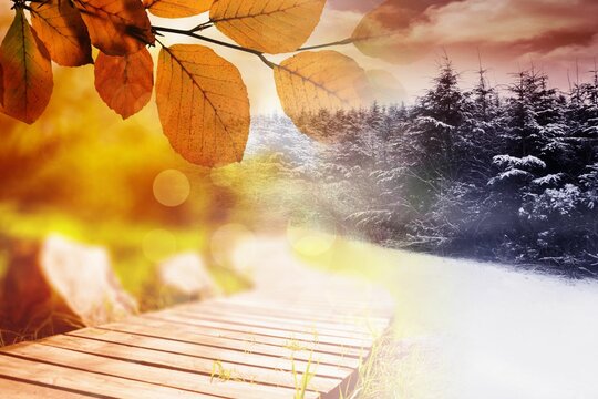 Fototapeta Autumn changing to winter