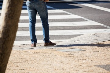 Low section of person standing by zebra cross