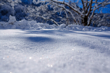 250320秋山郷の雪景色