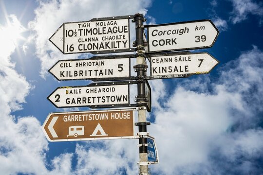 Fototapeta Close-up of sign posts with text