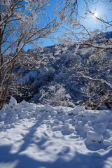 250320秋山郷の雪景色（快晴）