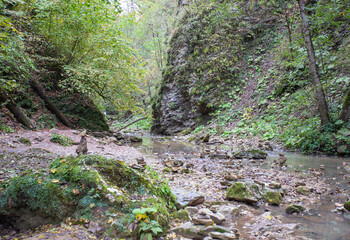 the rocky bottom of the riverbed , a walk along the river stones with an overview of the bottom...
