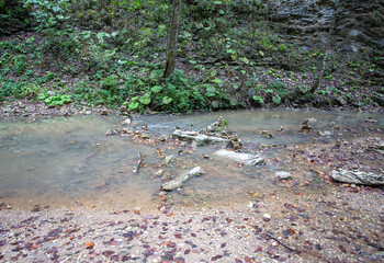 the rocky bottom of the riverbed , a walk along the river stones with an overview of the bottom...