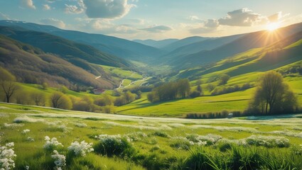 Fototapeta premium Stunning Panorama Rolling Hills, Lush Meadows, and Golden Sunlight