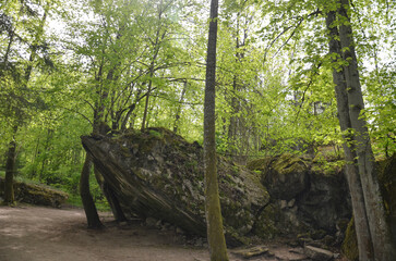 remains of buildings, trees, the concrete town of bunkers Wolf's Lair in Gierłoż near Kętrzyn