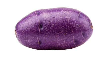 Single Vibrant Purple Potato with Textured Skin and Details