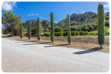 Domaine viticole en Provence dans les Alpilles