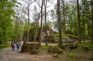 remains of buildings, trees, the concrete town of bunkers Wolf's Lair in Gierłoż near Kętrzyn