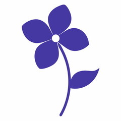 Periwinkle flower on white background 