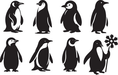 penguin vector illustration