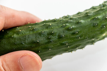 トゲのあるキュウリの表面