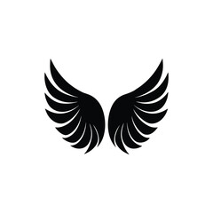 Bird wings vector art illustration