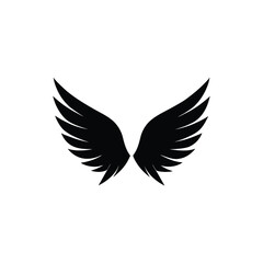 Bird wings vector art illustration