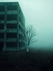 Abandoned building and tree in dense fog.