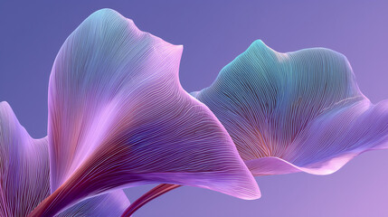 purple iris flower