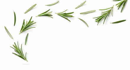 Rosemary, Sprig, Sprigs, Fresh Rosemary Sprigs on White Background © suwannee