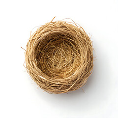Obraz premium Empty Bird Nest A Delicate Woven Structure of Twigs and Grass