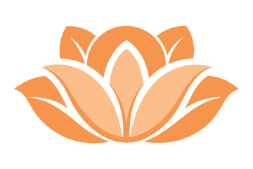 Fototapeta premium of an Orange Lotus Flower with Shading on White Background