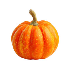 Orange Pumpkin, Autumn Harvest, Fall Decoration, Gourd, Vegetable