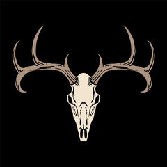 deer skull isolated