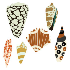 Seashells collection hand drawn