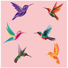 bird colour vector picture 4