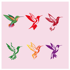 bird colour vector picture 5