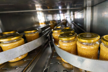 Mustard production process with jars being packaged in a factory setting