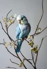 Obraz premium parrot on a branch