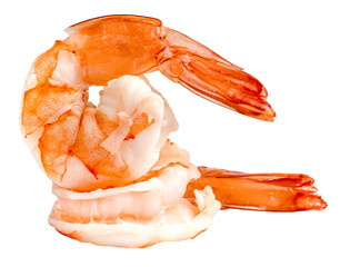 cooked shrimp isolated