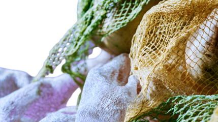Close up of produce in mesh bags with green and yellow netting