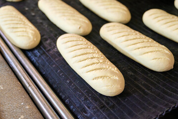 Freshly shaped dough loaves prepared for baking in a commercial bakery setting