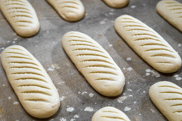 Dough shaped for sliced loaves at bakery plant ready for baking process to create fresh bread