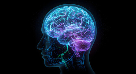 Luminous Human Brain Anatomy: Neurological System Visualization