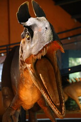 close-up of the head of a reconstructed theropod Cryolophosaurus from the early Jurassic period, the progenitor of the allosauroid lineage