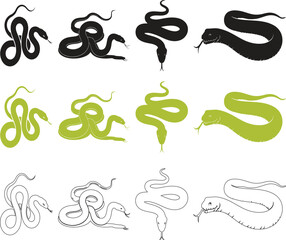 Black Mamba Snake Vector Illustration – Realistic Reptile in Striking Pose
