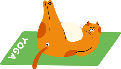 요가고양이3 © Valerie Studio