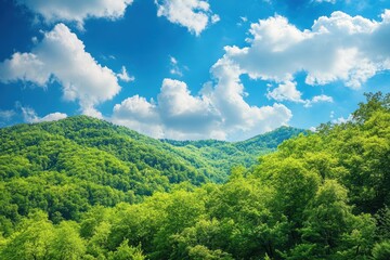 Lush green forest landscape under a bright blue sky with fluffy white clouds, Lush green forest under blue sky with white clouds
