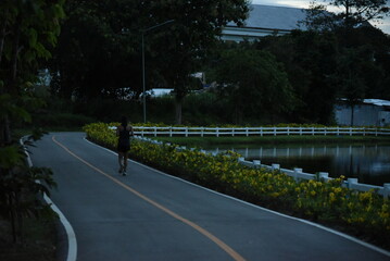 bridge over the river