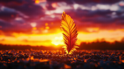 A single feather stands upright on the ground, illuminated by the vibrant colors of a dramatic sunset sky.