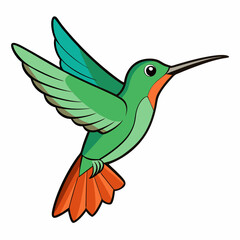 Obraz premium Hummingbird in Flight art vector white background