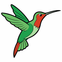 Hummingbird in Flight art vector white background