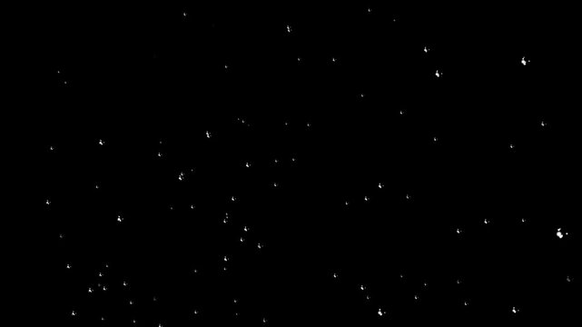 dust particles floating on black background. fireflies magic sparkles floating particles, dust particles isolated on black background. Flying dust particles on a black background
